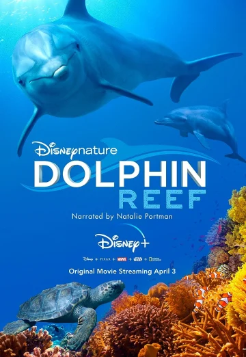 ดูหนังออนไลน์ฟรี Dolphin Reef (2020) อัศจรรย์ชีวิตของโลมา