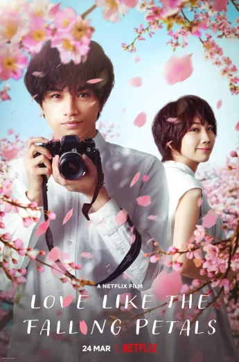 ดูหนัง Love Like the Falling Petals (My Dearest, Like a Cherry Blossom) (2022) ใบไม้ผลิที่ไม่มีเธอเป็นซากุระ (เต็มเรื่อง HD)