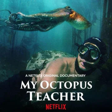 ดูหนัง My Octopus Teacher (2020) บทเรียนจากปลาหมึก (เต็มเรื่อง HD)