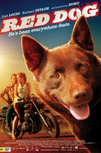 ดูหนัง Red Dog (2011) เพื่อนซี้ หัวใจหยุดโลก (เต็มเรื่อง HD)