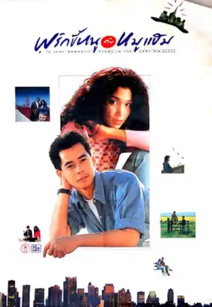 ดูหนัง A Very Romantic Story In The Very Big City (1989) พริกขี้หนูกับหมูแฮม (เต็มเรื่อง HD)