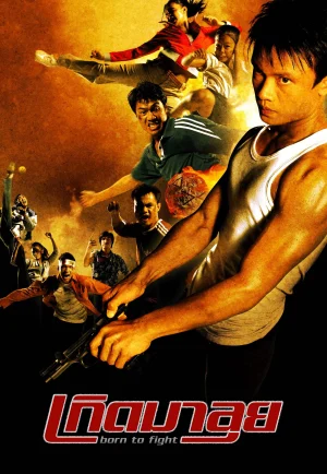 ดูหนัง Born To Fight (2004) เกิดมาลุย (เต็มเรื่อง HD)