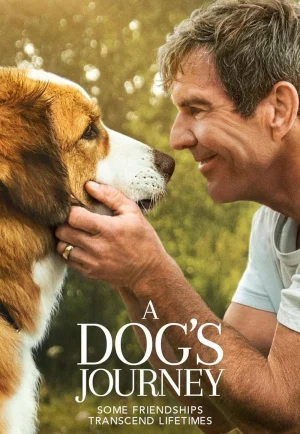 ดูหนัง A Dog’s Journey (2019) หมา เป้าหมาย และเด็กชายของผม 2 (เต็มเรื่อง HD)