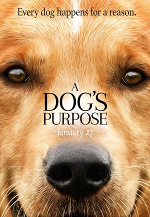 ดูหนัง A Dog’s Purpose (2017) หมา เป้าหมาย และเด็กชายของผม (เต็มเรื่อง HD)