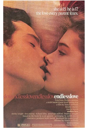 ดูหนัง Endless Love (1981) วุ่นรักไม่รู้จบ (เต็มเรื่อง HD)