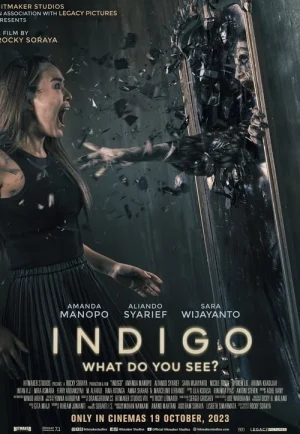 ดูหนัง Indigo (2023) เธอเห็นอะไร (เต็มเรื่อง HD)