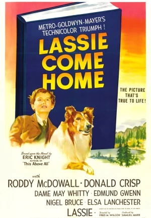ดูหนังออนไลน์ฟรี Lassie Come Home (1943)
